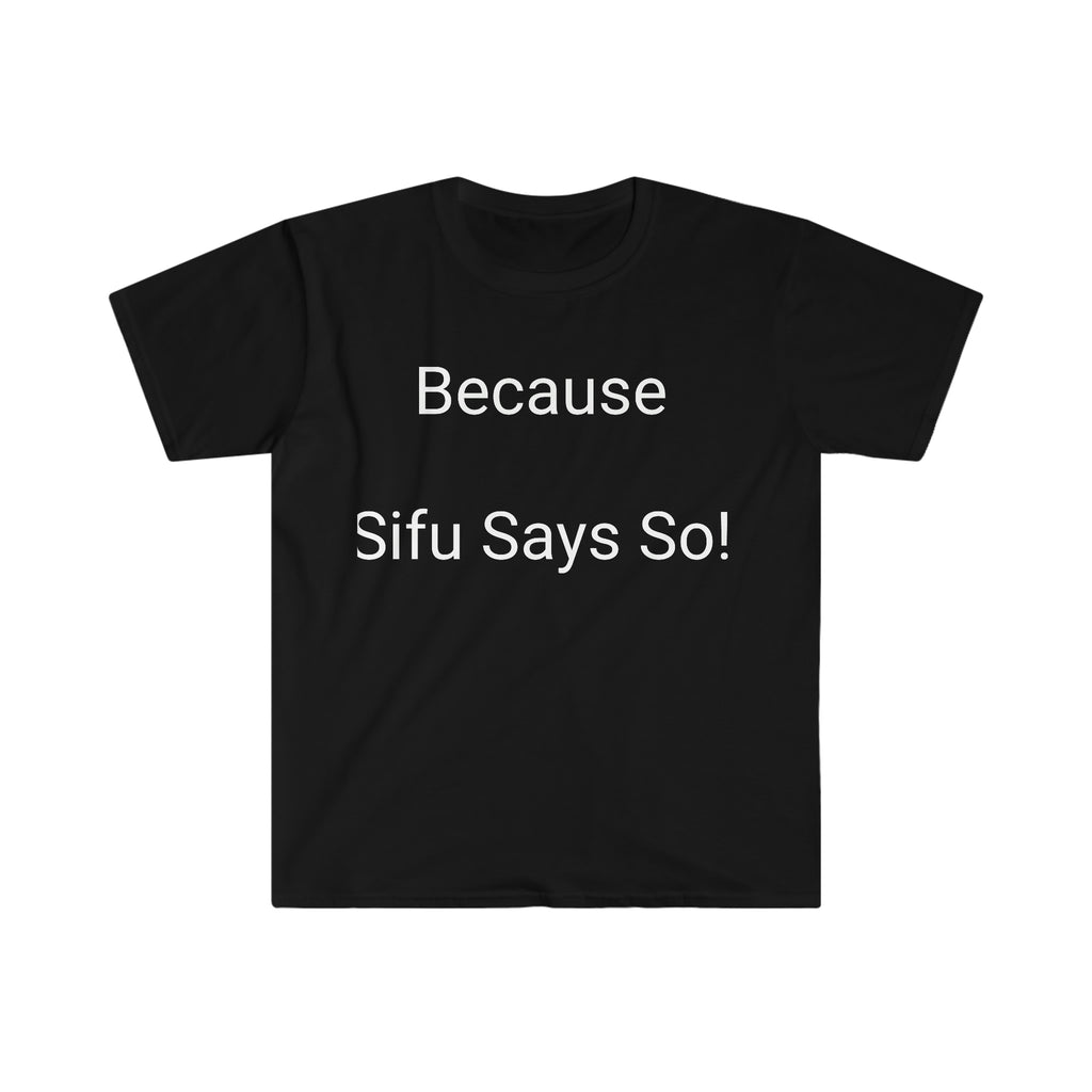 Because Sifu says so! Kung Fu Master!