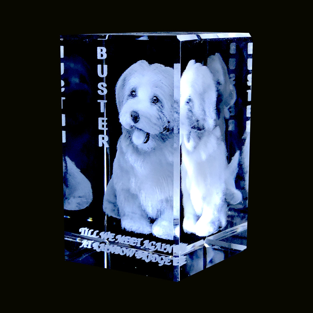 3D CRYSTAL OF YOUR PET  OR PERSON LASERED INSIDE CRYSTAL, SMALL AND LARGE AVAILABLE- Item# 3712