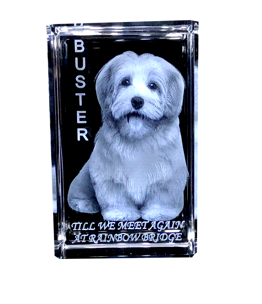 3D CRYSTAL OF YOUR PET  OR PERSON LASERED INSIDE CRYSTAL, SMALL AND LARGE AVAILABLE- Item# 3712